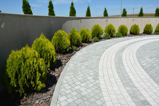 Best Driveway Paving Contractor  in Pflugerville, TX